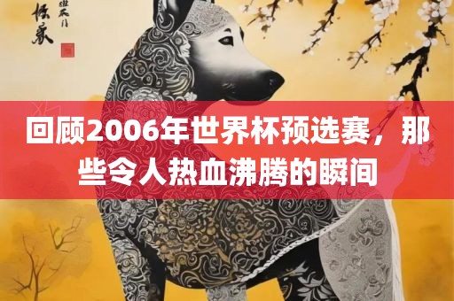 回顾漯河市盈旭机械设备有限公司2006年世界杯预选赛，那些令人热血沸腾的瞬间