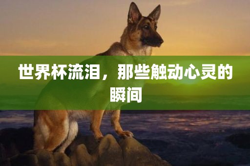世界杯流泪，那些触动心灵的瞬间