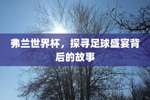 弗兰世界杯，探寻足球盛宴背后的故事