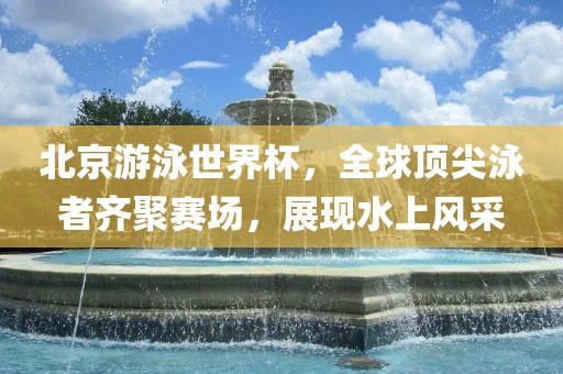 北京游泳世界杯，全球顶尖泳者齐聚赛场，展现水上风采