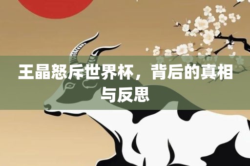 王晶怒斥世界杯，背后的真相与反思