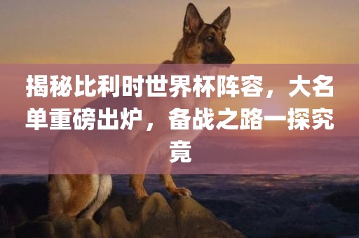 揭秘比利时世界杯阵容，大名单重磅出炉，备战之路一探究竟