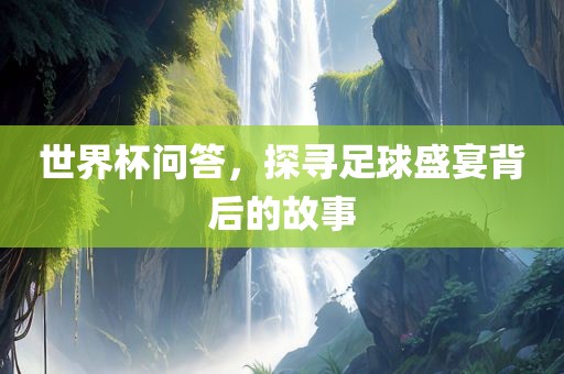 足球盛宴背后的故事 第6页