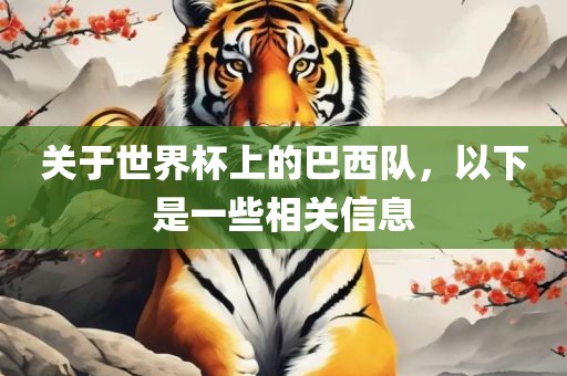 关于世界杯上的巴西队，以下是一些相关信息