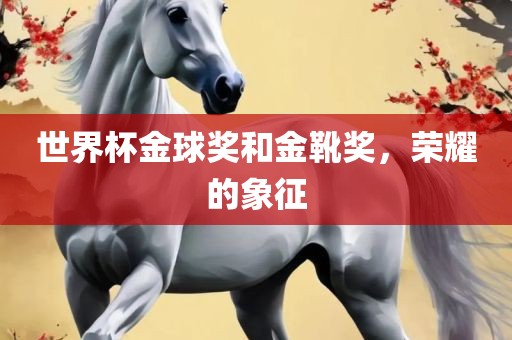 世界杯金球奖和金靴奖，荣耀的象征