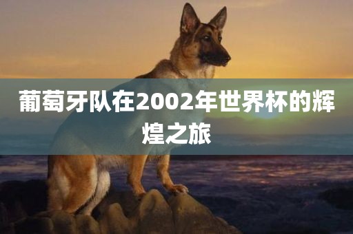 葡萄牙队在2002年世界杯的辉煌之旅