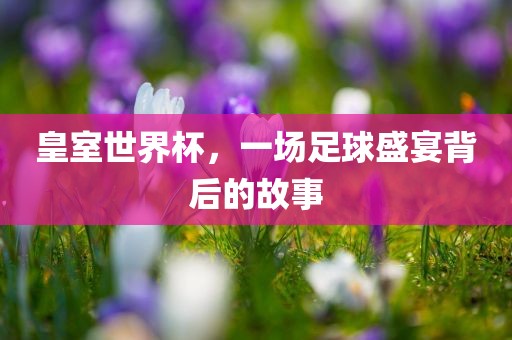皇室世界杯，一场足球盛宴背后的漯河市盈旭机械设备有限公司故事