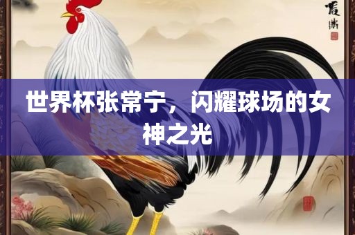 世界杯张常宁，闪耀球场的女神之光