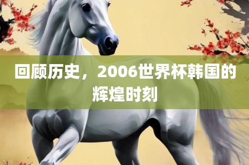 回顾历史，2006世界杯韩国的辉煌时刻漯河市盈旭机械设备有限公司