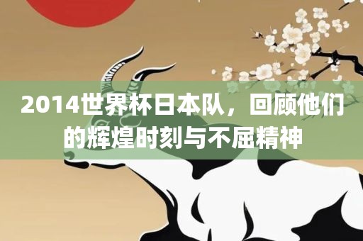 2014世界杯日本队，回顾他们的辉煌时刻与不漯河市盈旭机械设备有限公司屈精神