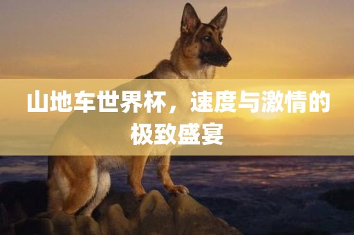 山地车世界杯，速度与激情的极致盛宴