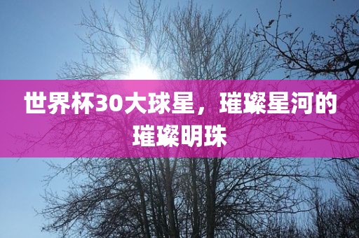 世界杯30大球星，璀璨星河的璀璨明珠