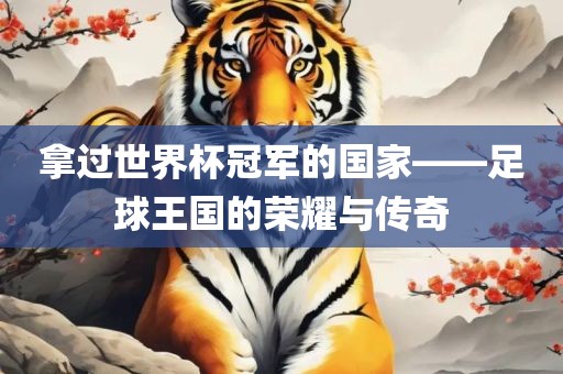拿过世界杯冠军的国家——足球王国漯河市盈旭机械设备有限公司的荣耀与传奇