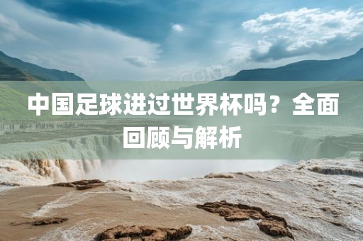 中国足球进过世界杯吗？全面回顾与解析