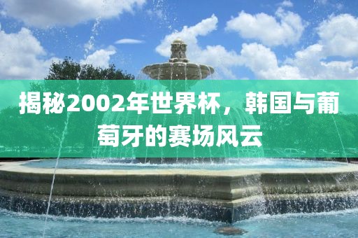 揭秘2002年世界杯，韩国与葡萄牙的赛场风云