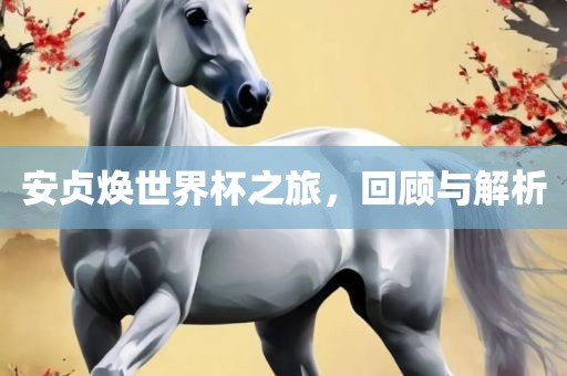安贞焕世界杯之旅，回顾与解析