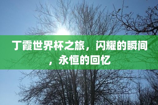 丁霞世界杯之旅，闪耀的瞬间，永恒的回忆
