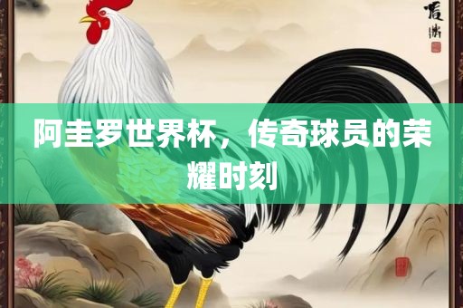 阿圭罗世界杯，传奇球员的荣耀时刻