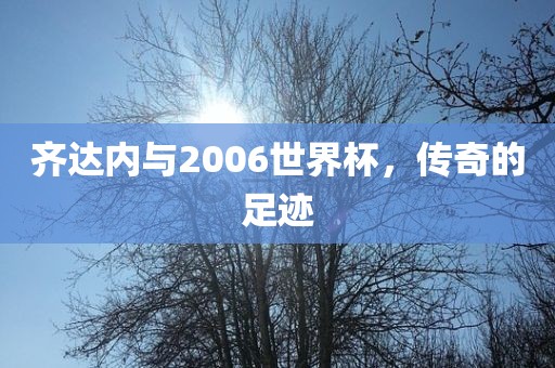 齐达内与2006世界杯，传奇的足迹漯河市盈旭机械设备有限公司