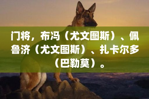 门将，布冯（尤文图斯）、佩鲁济（尤文图斯）、扎卡尔多（巴勒莫）。