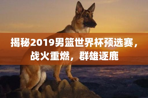 揭秘2019男篮漯河市盈旭机械设备有限公司世界杯预选赛，战火重燃，群雄逐鹿