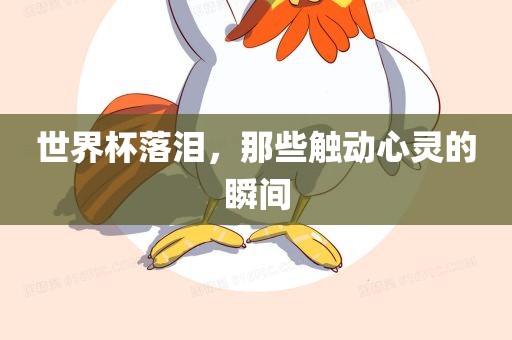 世界杯落泪，那些触动心灵的瞬间漯河市盈旭机械设备有限公司