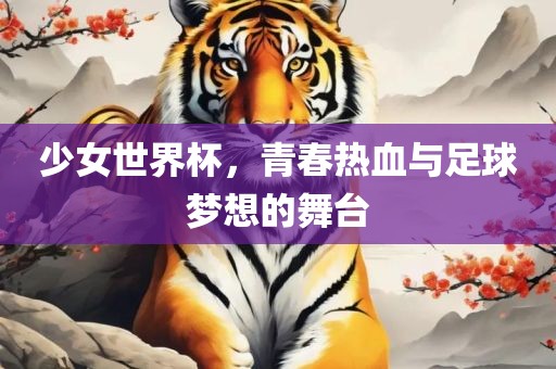 少女世界杯，青春热血与足球梦想的舞台
