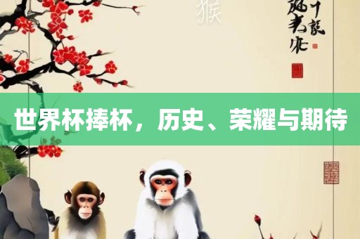 世界杯捧杯，历史、荣耀与期待