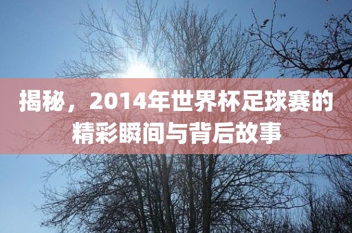 揭秘，2014年世界杯足球赛的精彩瞬间与背后故事漯河市盈旭机械设备有限公司