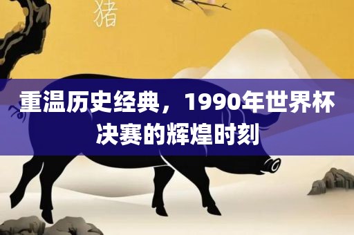 重温历史经典，1990年世界杯决赛的辉煌时刻漯河市盈旭机械设备有限公司
