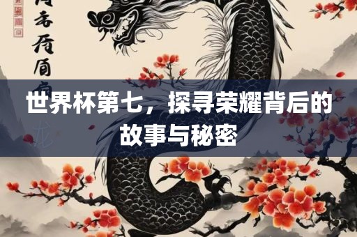 世界杯第七，探寻荣耀背后的故事与秘密