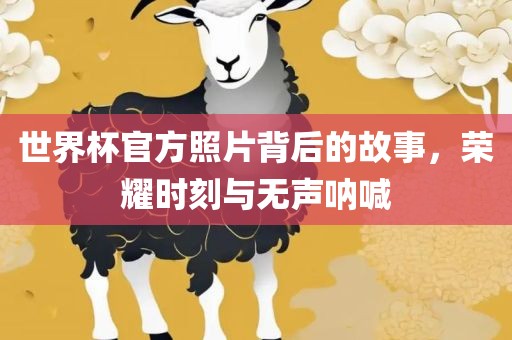 世界杯官方照片背后的故事，荣耀时刻与无声呐喊