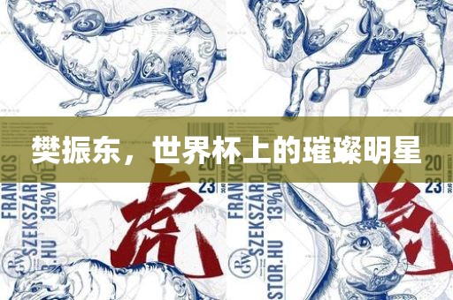 樊振东，世界杯上的璀璨明星漯河市盈旭机械设备有限公司