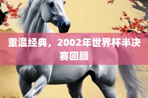 重温经典，2002年世界杯半决赛回顾