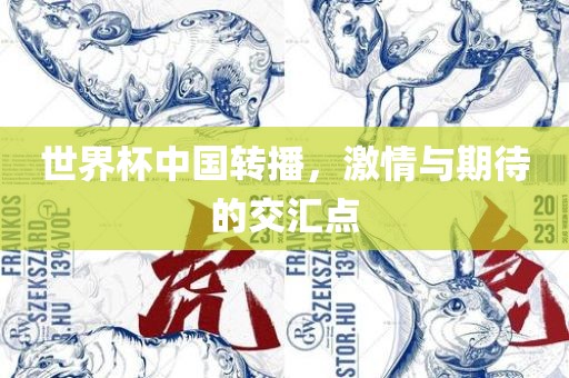 世界杯中国转播，激情与期待的交汇点