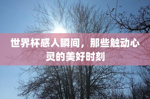 世界杯感人瞬间，那些触动心灵的美好时刻
