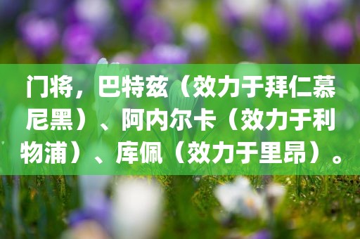 门将，巴特兹（效力于拜仁慕尼黑）、阿内尔卡（效力于利物浦）、库佩（效力于里昂）。