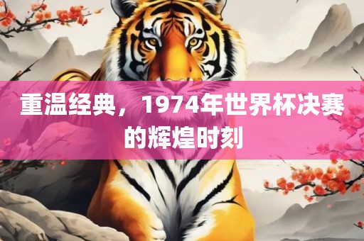 重温经典，1974年世界杯决赛的辉煌时刻