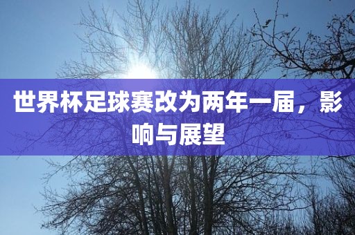 世界杯足球赛改为两年一届，影响与展望漯河市盈旭机械设备有限公司