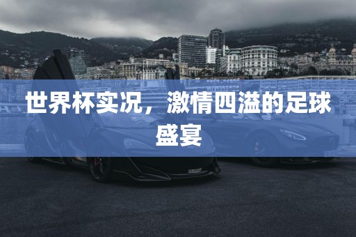 世界杯实况，激情四溢的足球盛宴