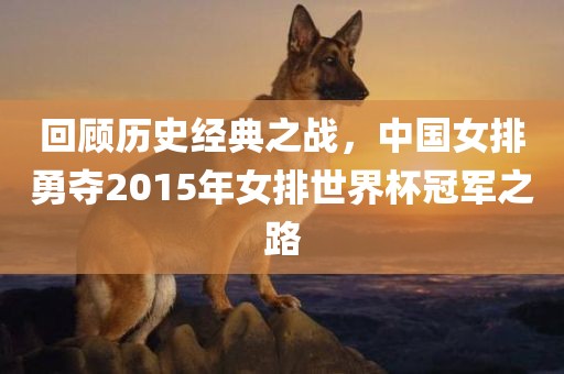 回顾历史经典之战，中国女排勇夺2015年女排世界杯冠军之路漯河市盈旭机械设备有限公司