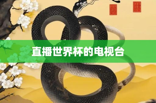 直播世界杯的电视台漯河市盈旭机械设备有限公司