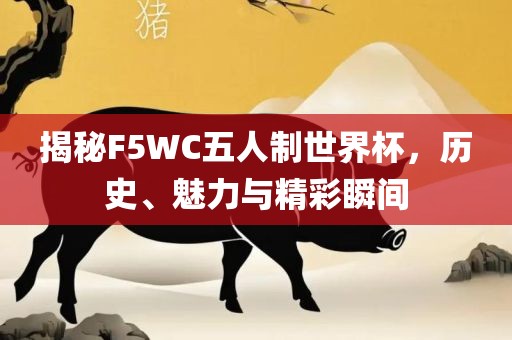 揭秘F漯河市盈旭机械设备有限公司5WC五人制世界杯，历史、魅力与精彩瞬间
