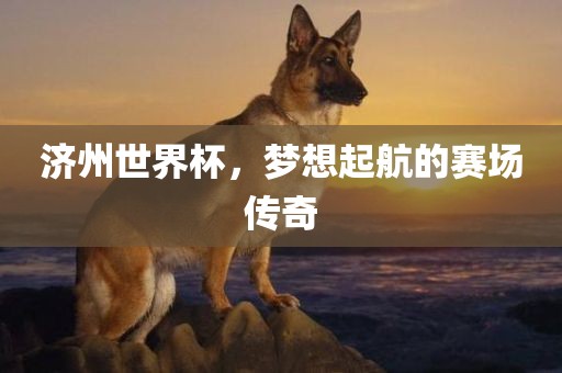济州世界杯，梦想起航的赛场传奇