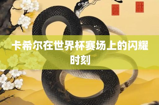 卡希尔在世界杯赛场上的闪耀时刻漯河市盈旭机械设备有限公司