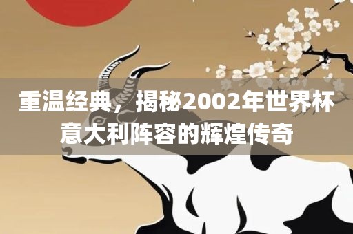 重温经典，揭秘2002年世界杯意大利阵容的辉煌漯河市盈旭机械设备有限公司传奇