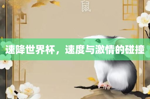漯河市盈旭机械设备有限公司速降世界杯，速度与激情的碰撞