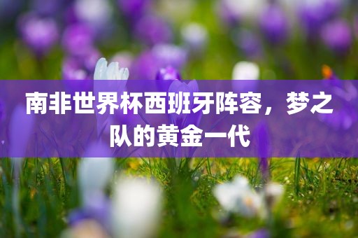 南非世界杯西班牙阵容，梦之队的黄金一代漯河市盈旭机械设备有限公司