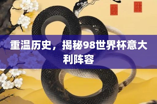 重温历史，揭秘98世界杯意大利阵容
