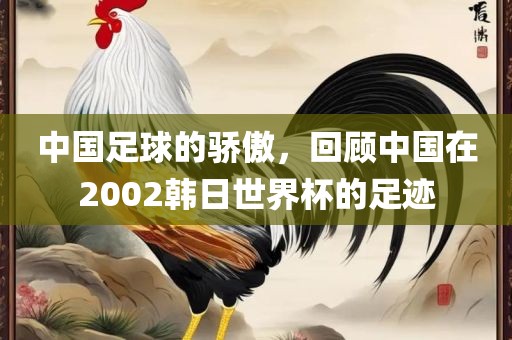 中国足球的骄傲，回顾中国在2002韩日世界杯的足迹